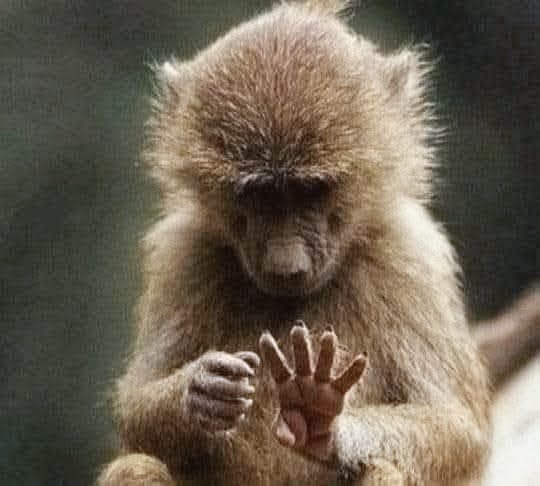 Enigma ⚔️ 🇩🇪 tweet media