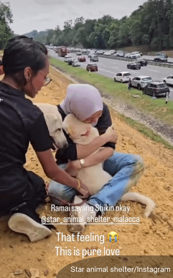 BFM News tweet media