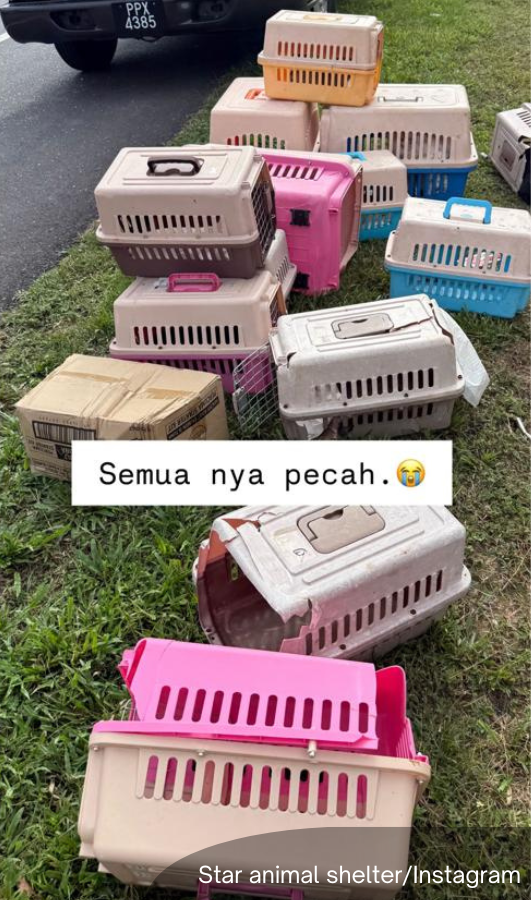 BFM News tweet media