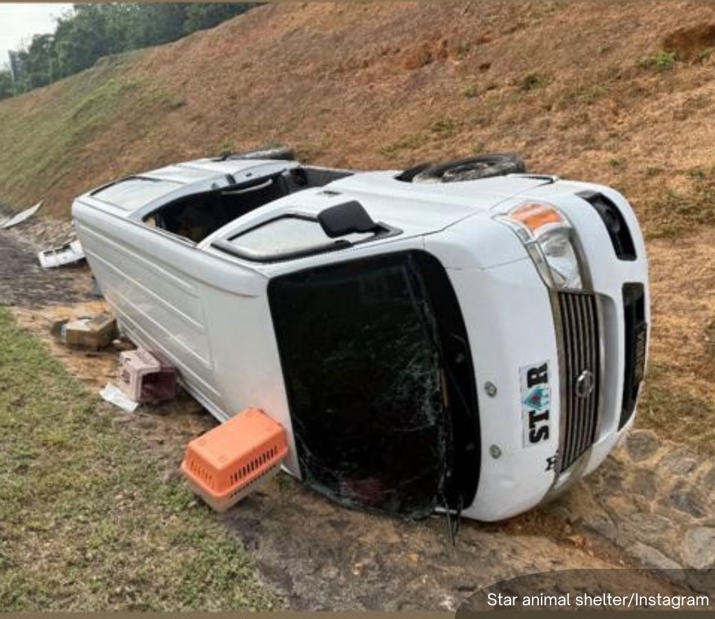 BFM News tweet media