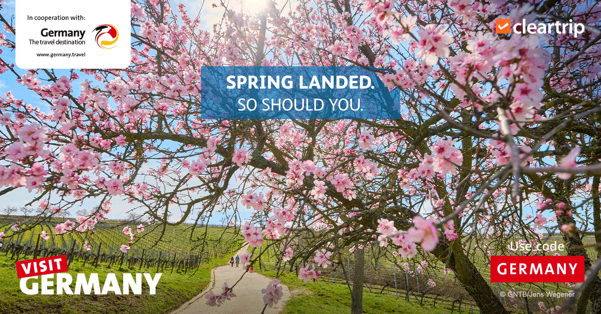 Cleartrip Arabia tweet media