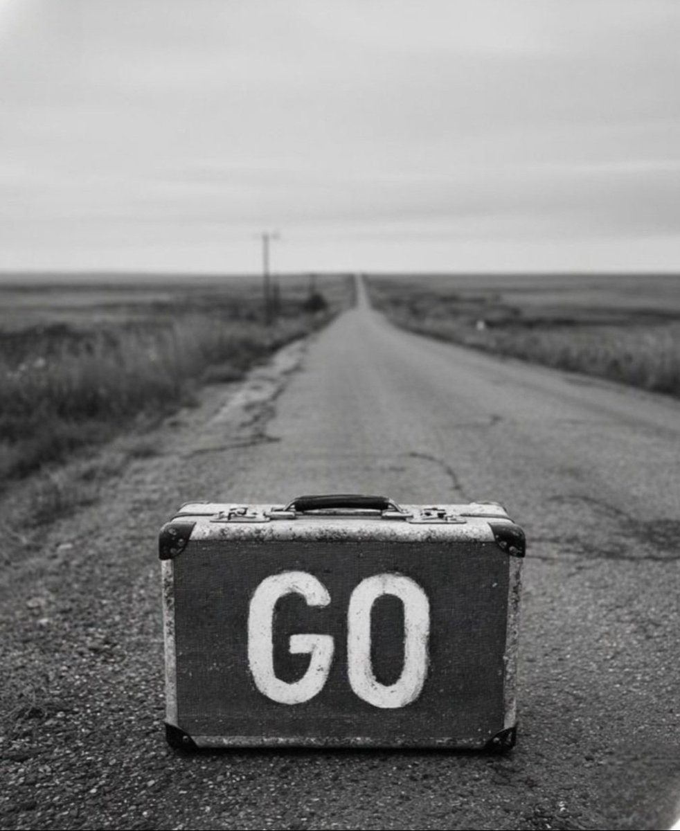 anna 🌹🦂 tweet media