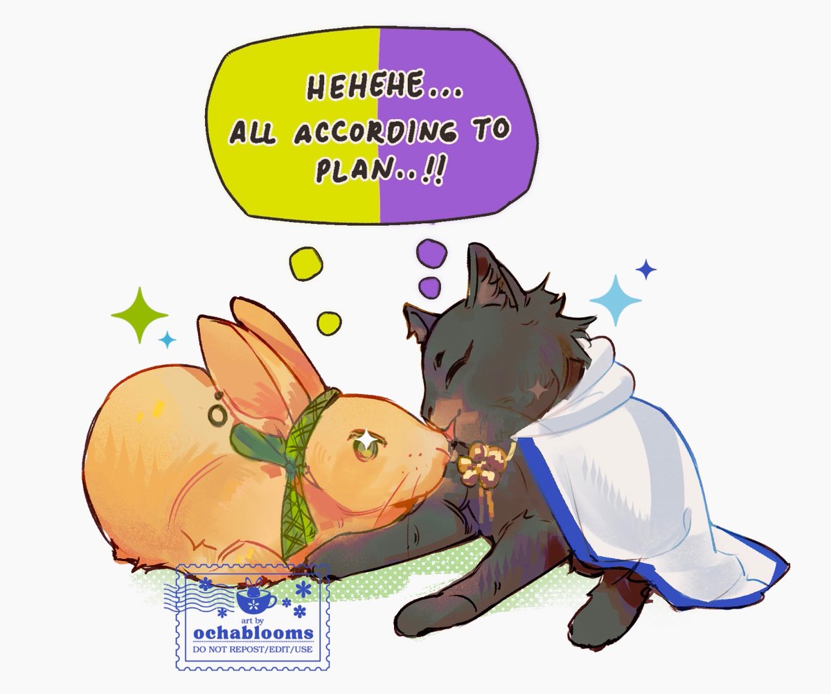 ocha ✿ tweet media