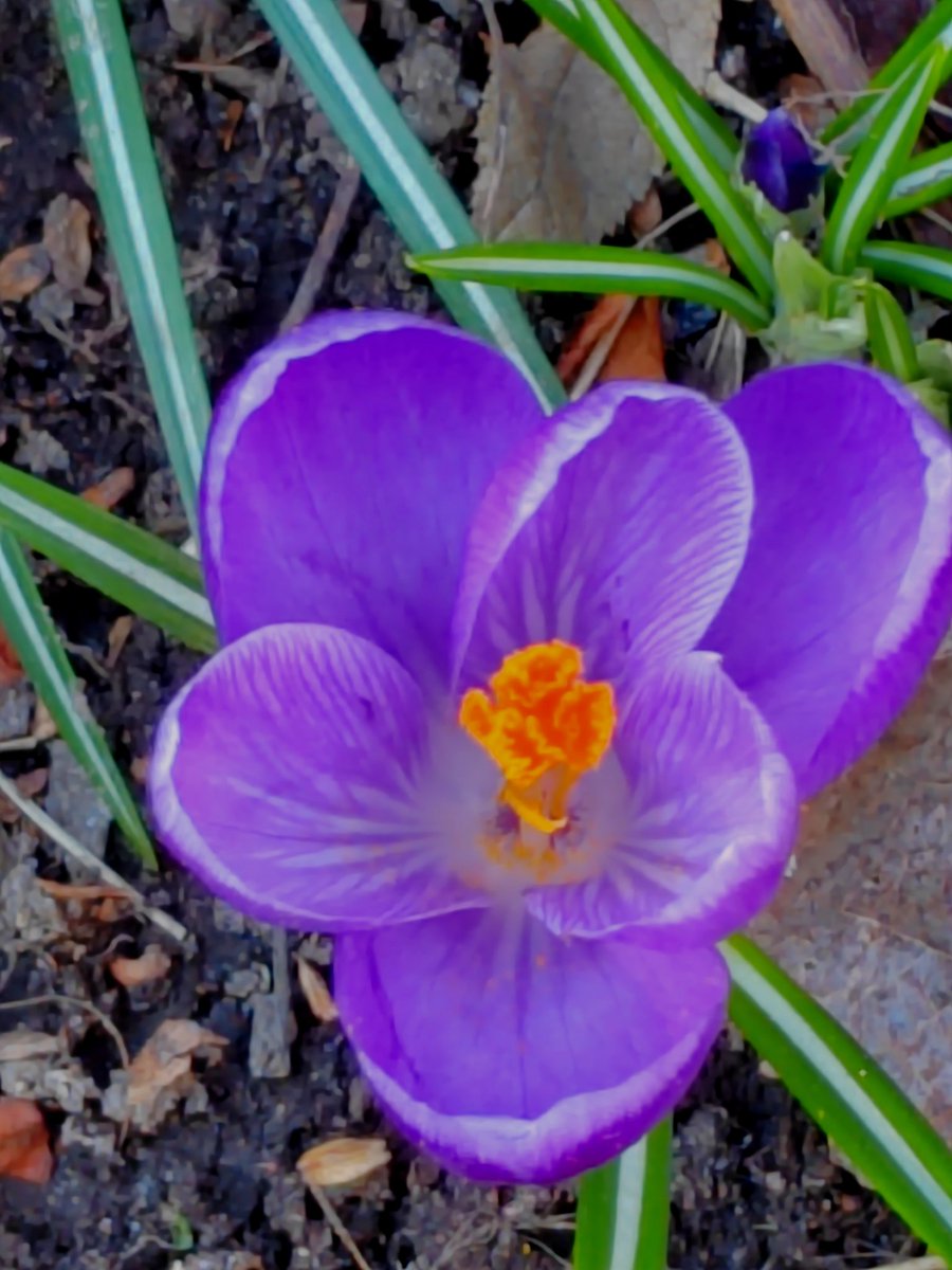 Else Kruskopf tweet media