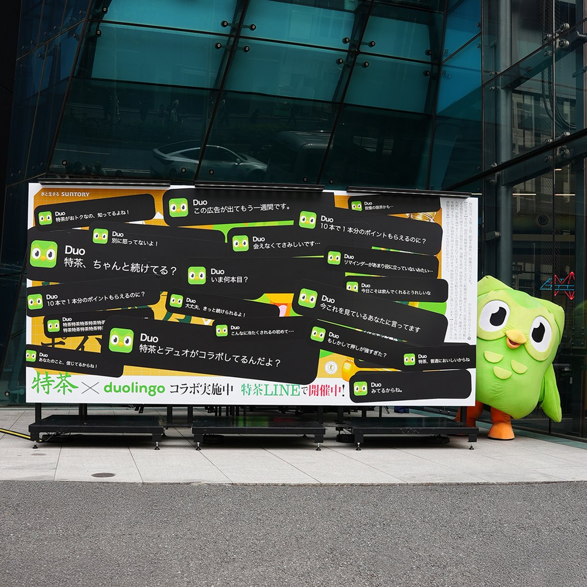 Duolingo(デュオリンゴ) | 日本公式🇯🇵 tweet media