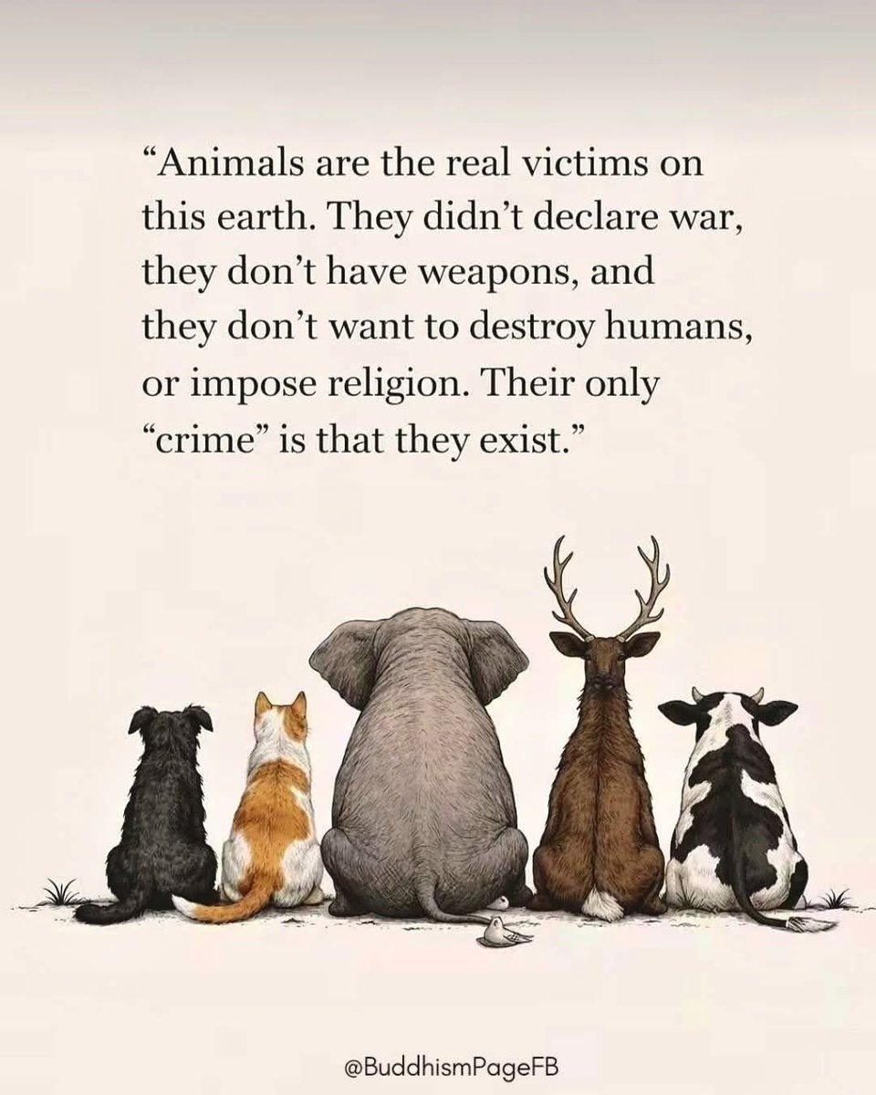 dominic dyer tweet media