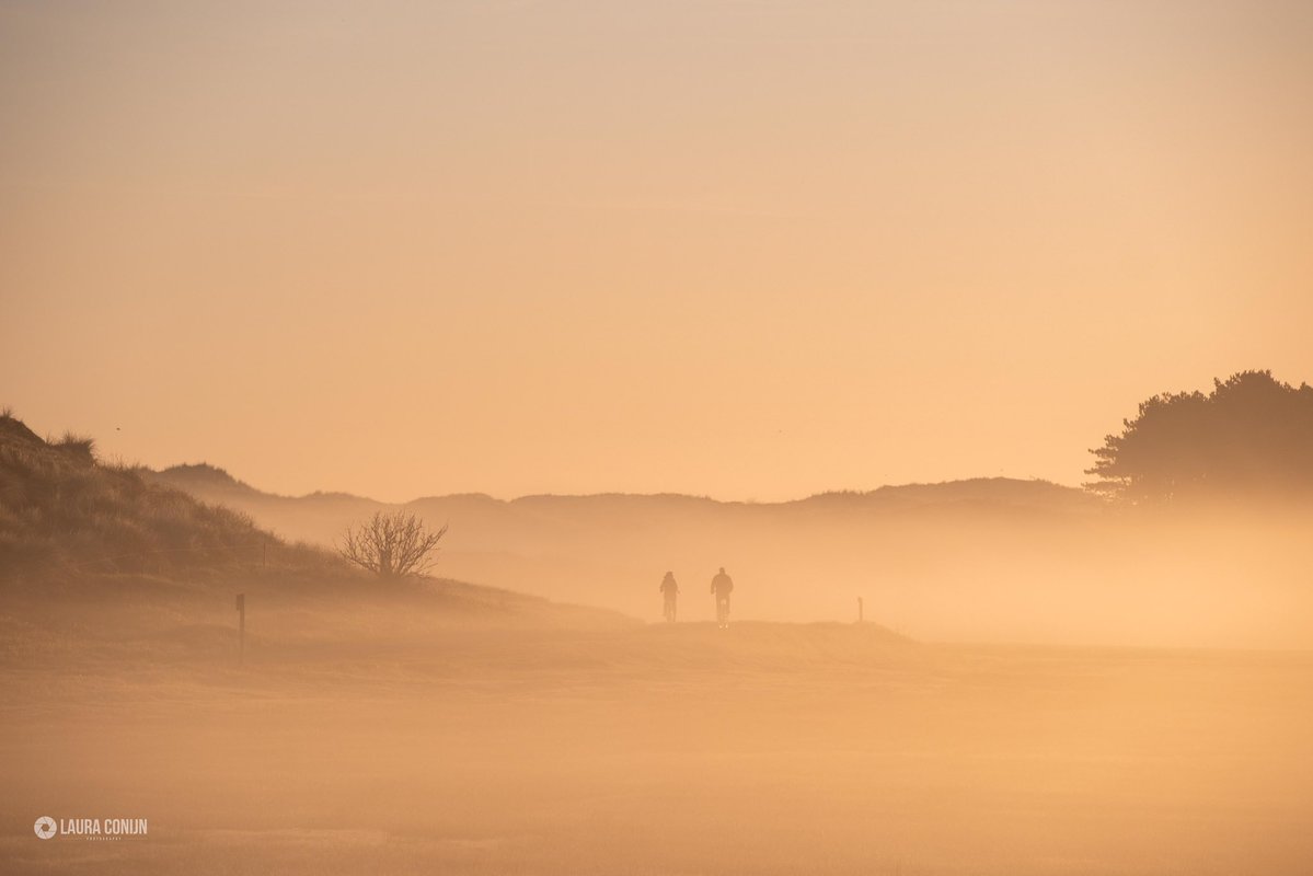 Laura Conijn tweet media