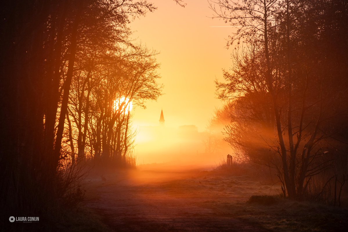 Laura Conijn tweet media