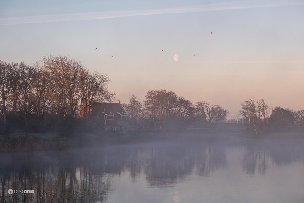 Laura Conijn tweet media