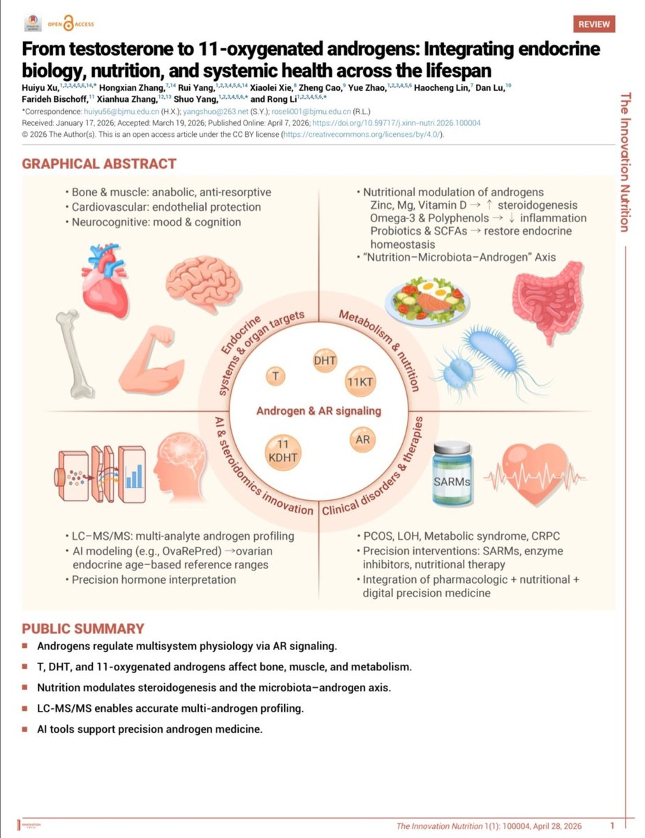 Androgens Beyond Reproduction: Toward Precision Endocrinology 🔬 Core ...