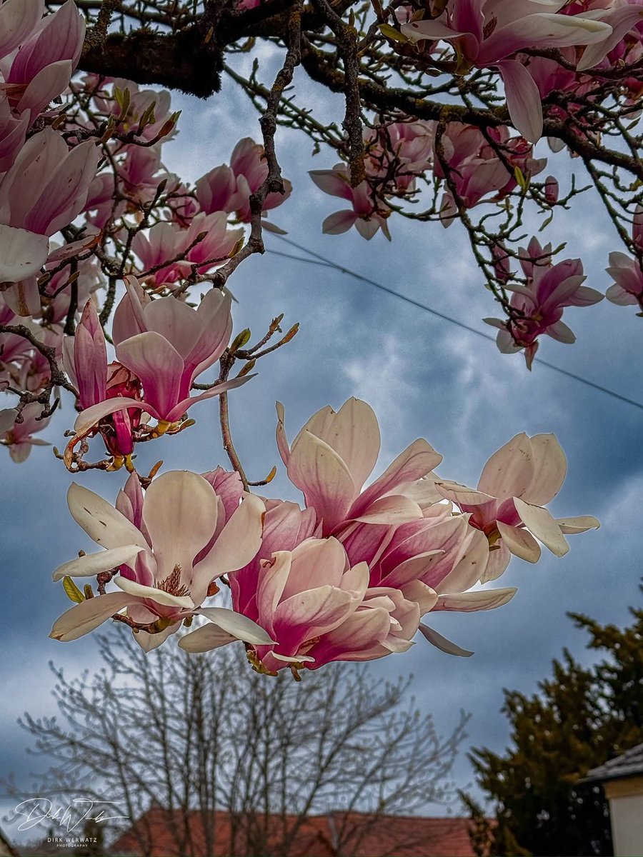 Charlet 🇷🇴 tweet media