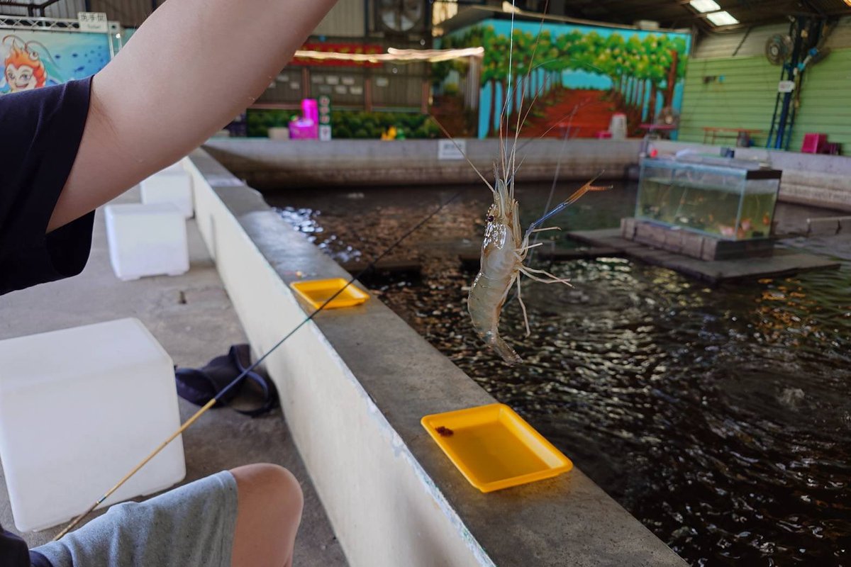 ともちんebay輸出Refurbishedセラー｜せどり｜BtoB｜ジャンク｜不動産投資｜SFC｜ tweet media