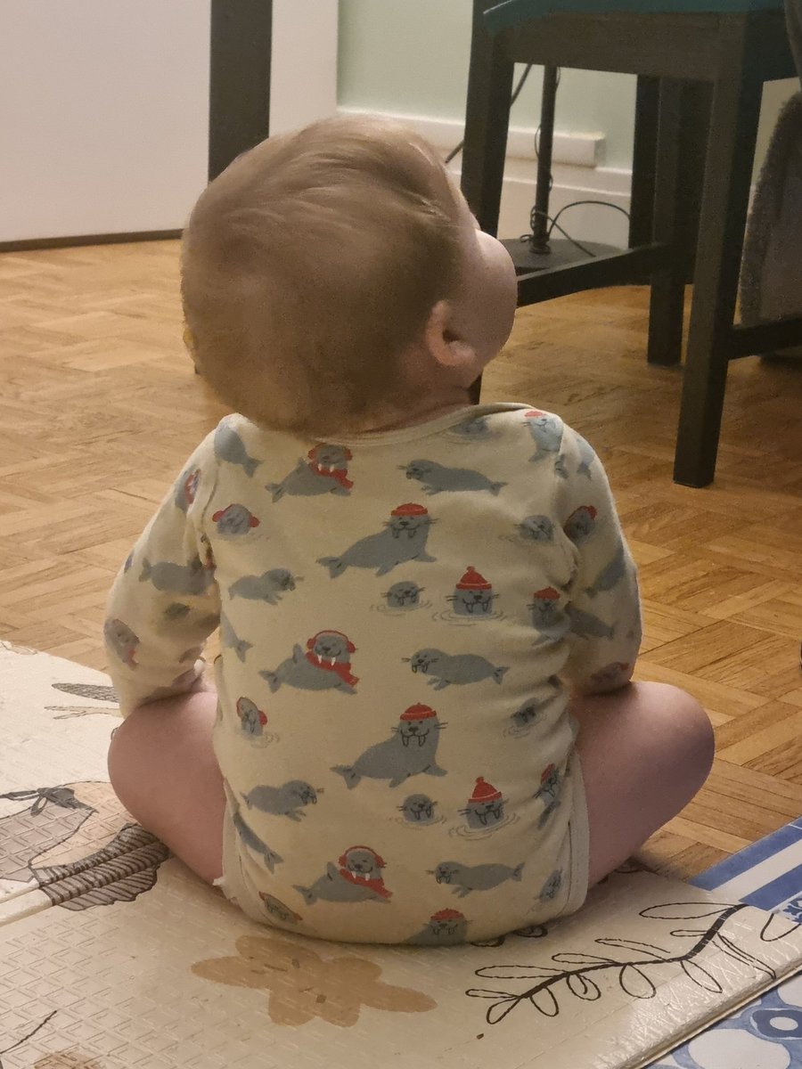 Lyra 🌻 tweet media