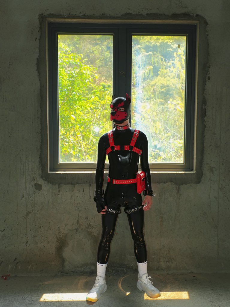 狗狗小源 tweet media