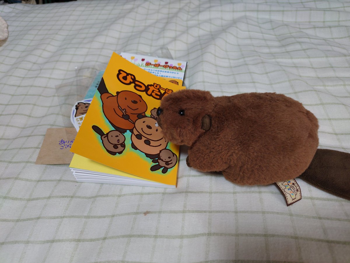 ๑miyatch๑(みやっち) tweet media