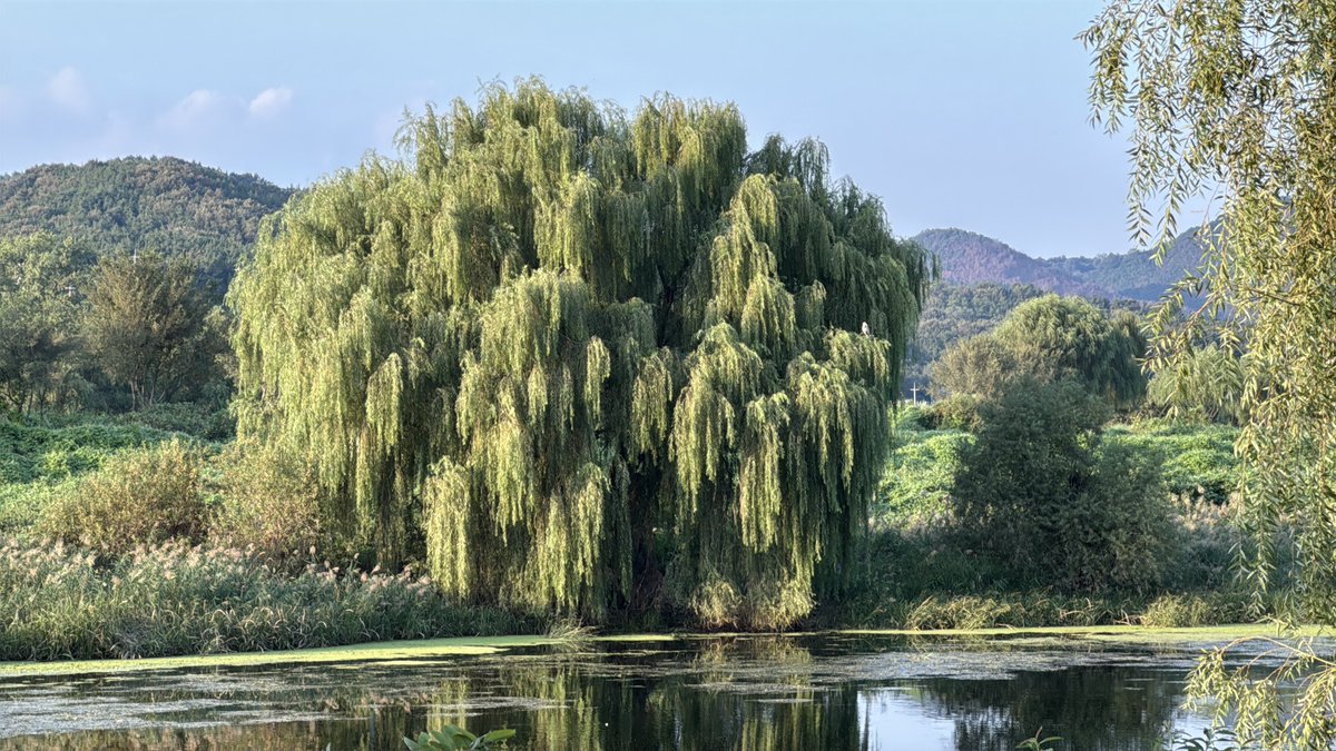 𝑖𝑛𝑔 tweet media