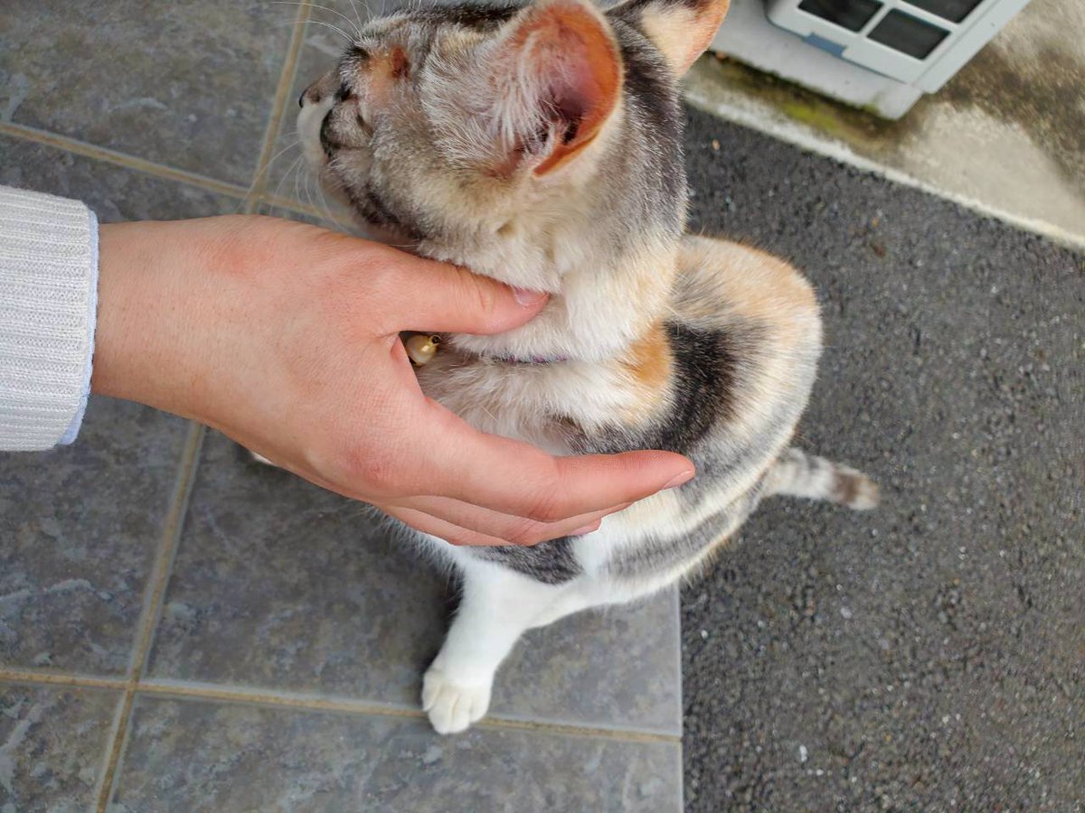 腐婦女 tweet media