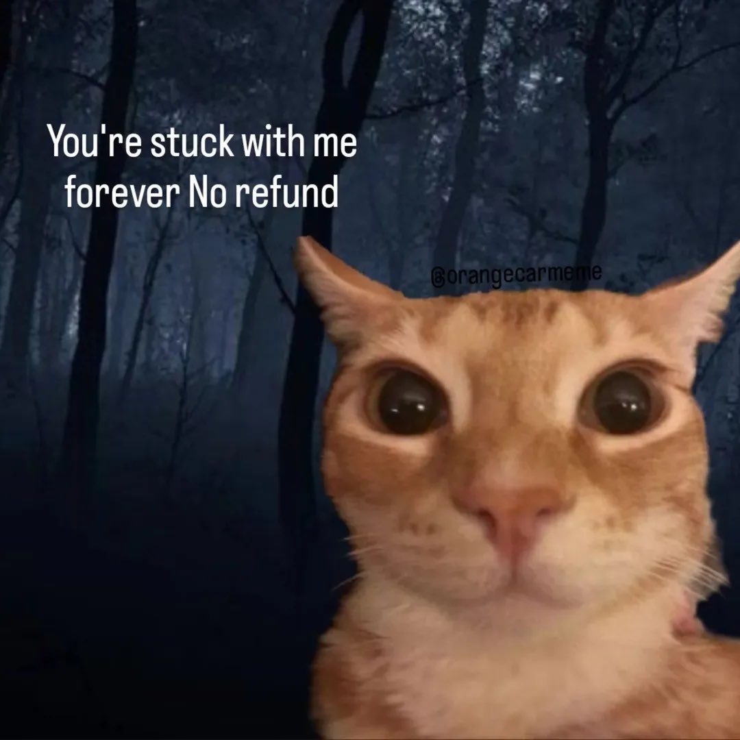 𝐍𝐔𝐈. ✨ tweet media