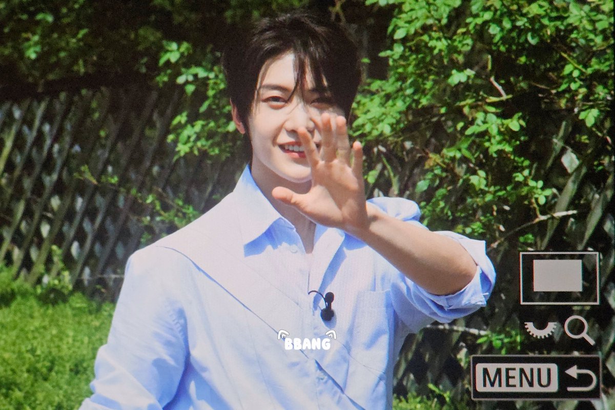 빵 tweet media