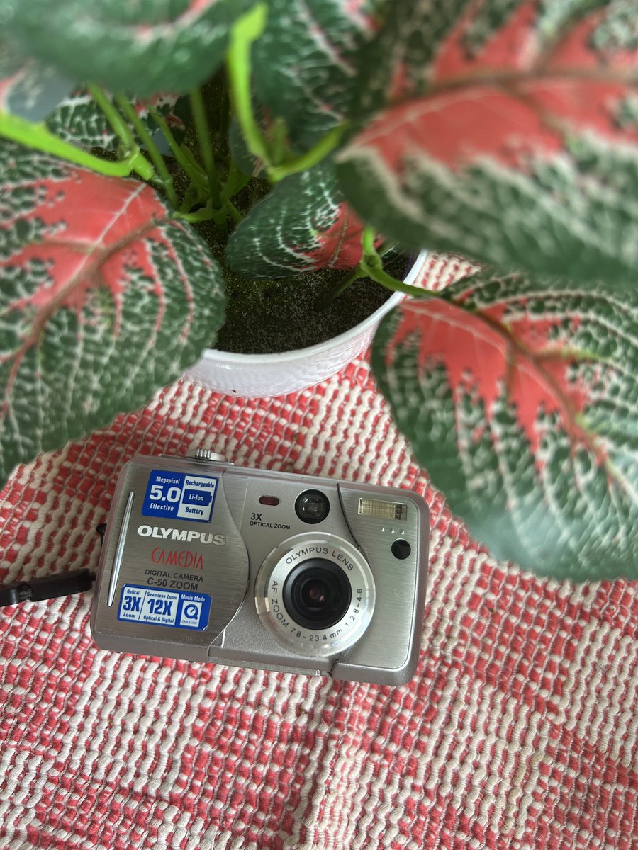 baddiegicam's tweet image. wts digicam olympus camedia c-50 zoom (rare)

fungsional overall no minus 

950K (co shopee ada diskon)

kelengkapan: unit, memori, card reader, strap, charger, dan batre

#wtb #zonajajan #zonauang #zonabu #camdig #kameradigital