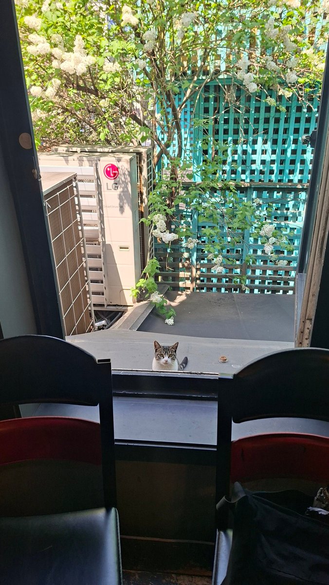 참깨빵 tweet media