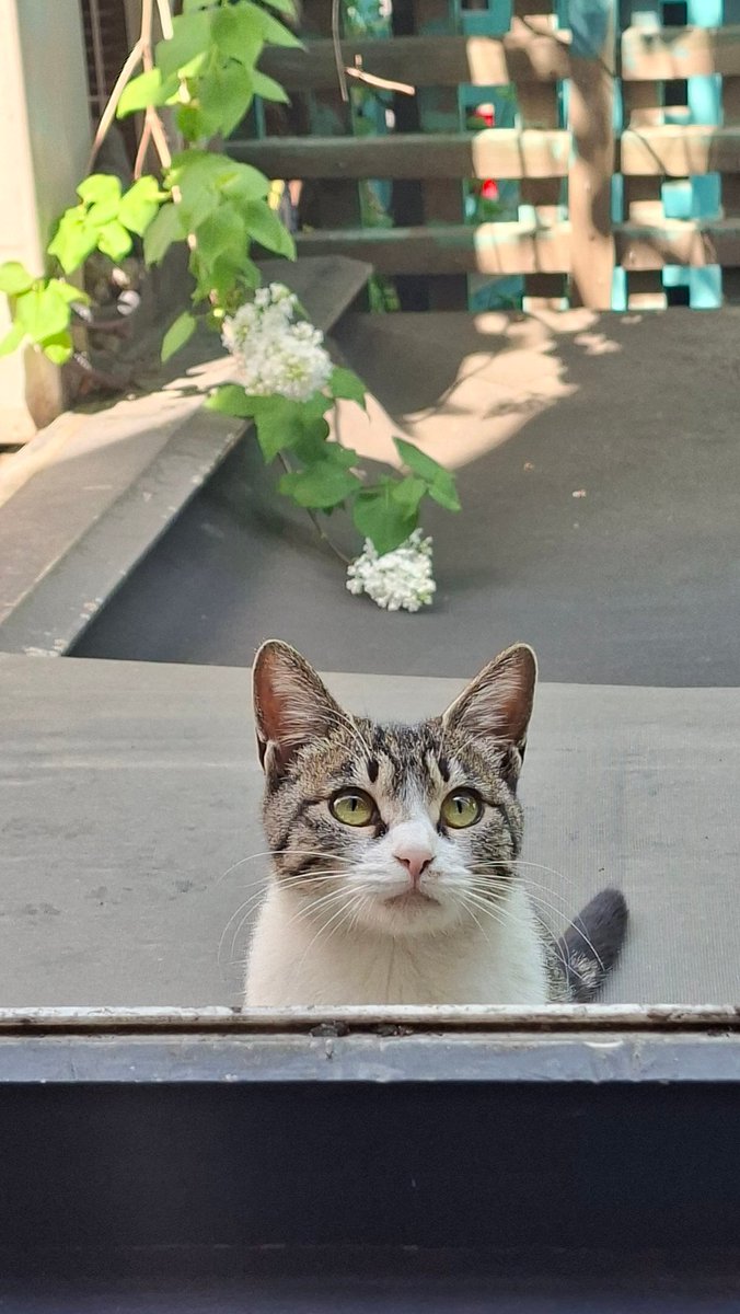 참깨빵 tweet media