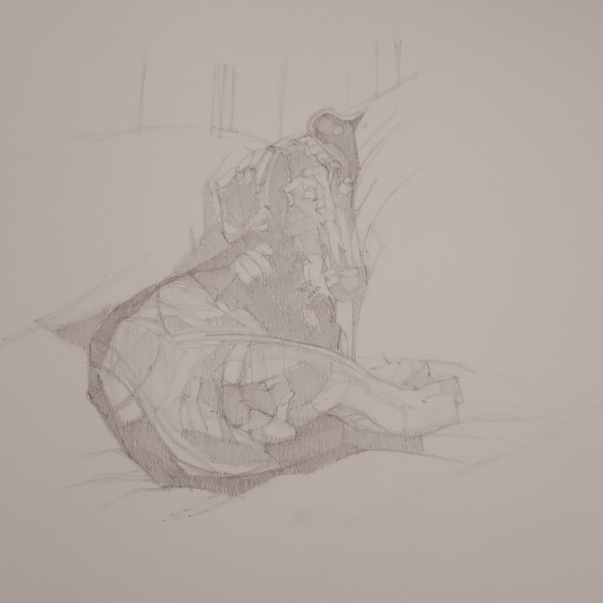 Susana Meitin tweet media