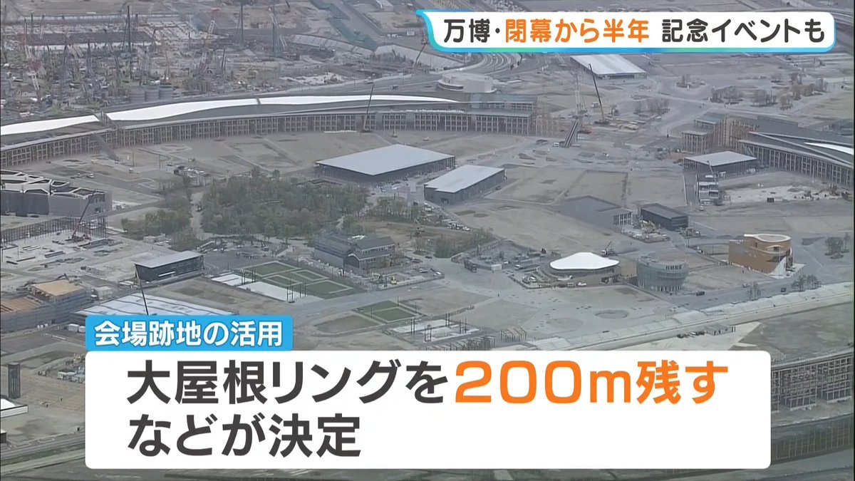 オキゾウ tweet media