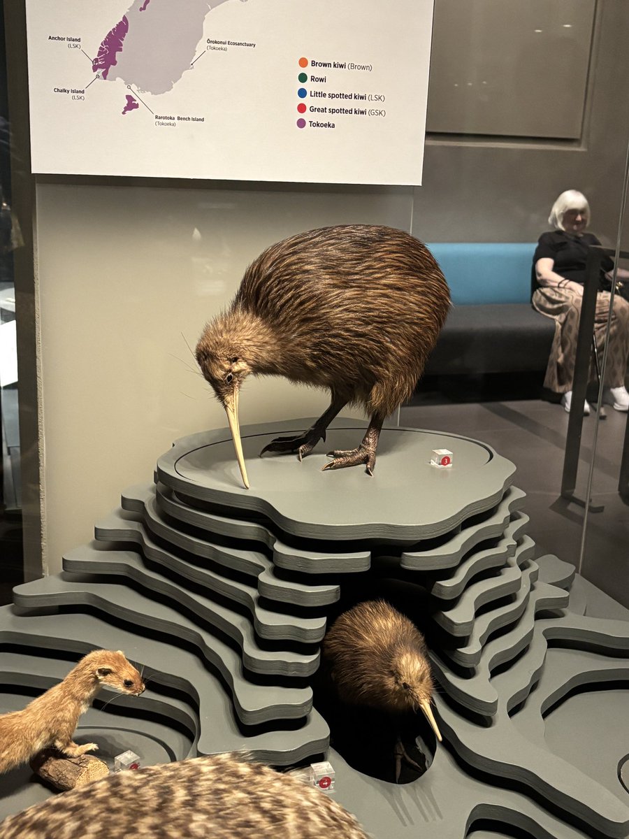 Masa@Auckland tweet media