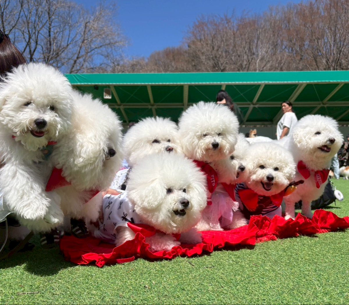 那須ハイランドパーク🎢🐶 tweet media