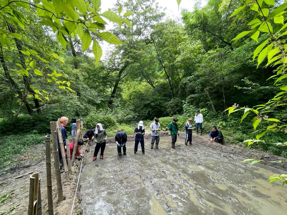 FeeLink7's tweet photo. 【プロジェクト紹介：BCP】

”稲作を成功させる”を目標にキャンパスの里山にあるビオトープの整備活動や生態系の復元を行っています。

活動日は毎週土曜日10:00〜12:00となっています。
生き物やビオトープに関する知識がなくても大丈夫です！

ぜひ体験会にお越しください🙌 https://t.co/kmfF6fiBz2