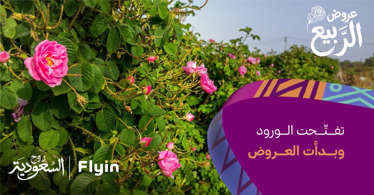 Flyin | فلاي إن tweet media