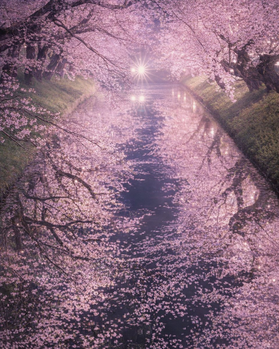 ベンジー tweet media