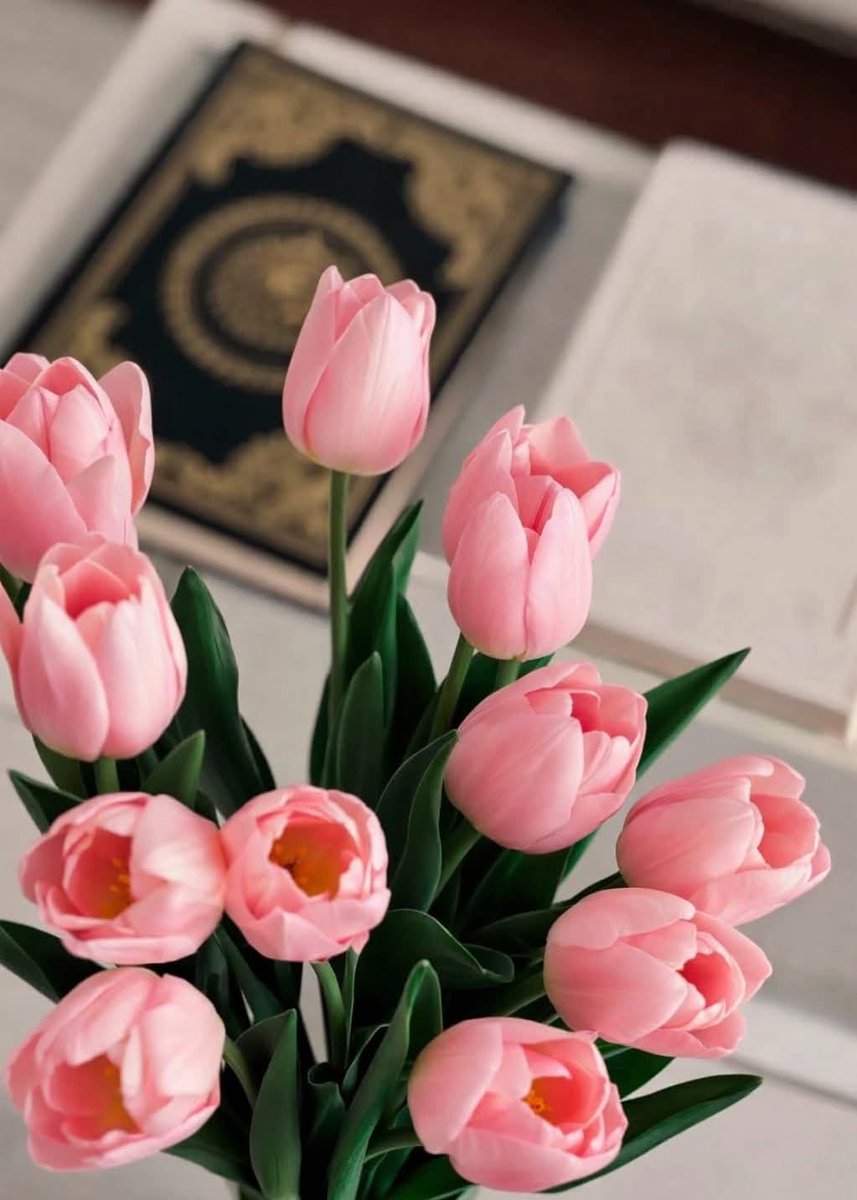 esila_celik1's tweet photo. Allah, kulunun iyi niyetine de mükafat verir!.

 Hz. Ömer (ra.) https://t.co/aB78mRYWmE
