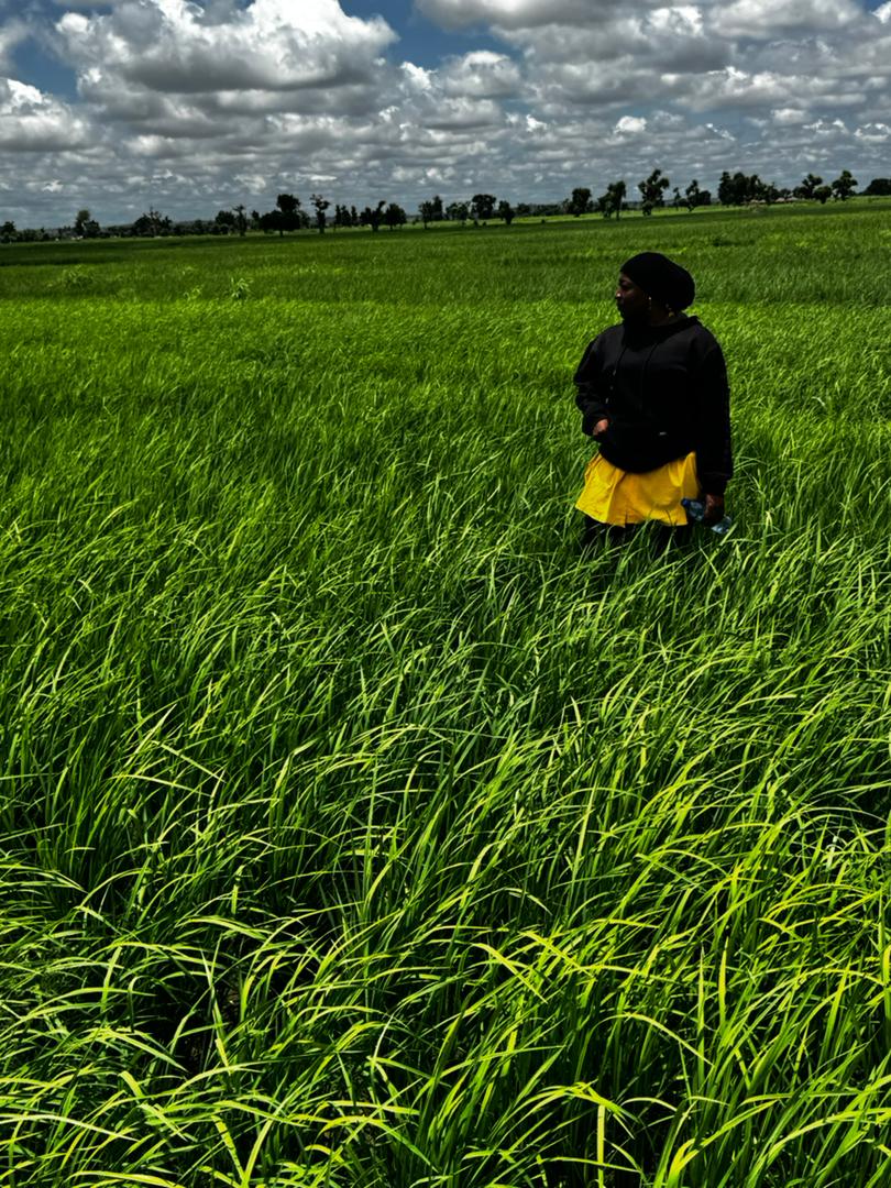 yenyenpurehoney's tweet photo. Dan Girman Allah Help Me Retweet.

Thank u as u hit the share
really need ur retweet 

 Our basmati rice seed is available 5000 per kg 

Delivery nation wide

07030458606 https://t.co/iQOCtQ3Rn3