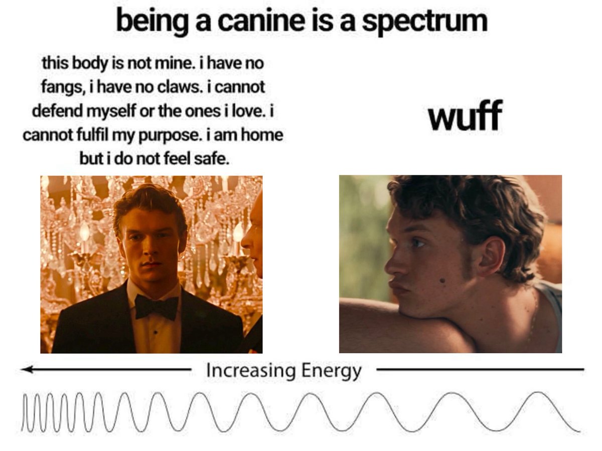 star ⟡ tweet media