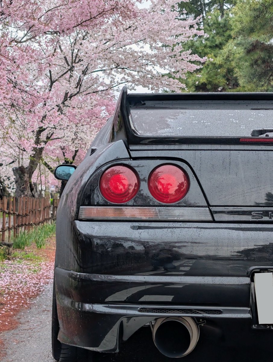 toshiya1975_R33's tweet image. #これを見た人は愛車の背景が桜の画像を貼れ
土曜日の会津若松での朝活3
#スカイライン #R33