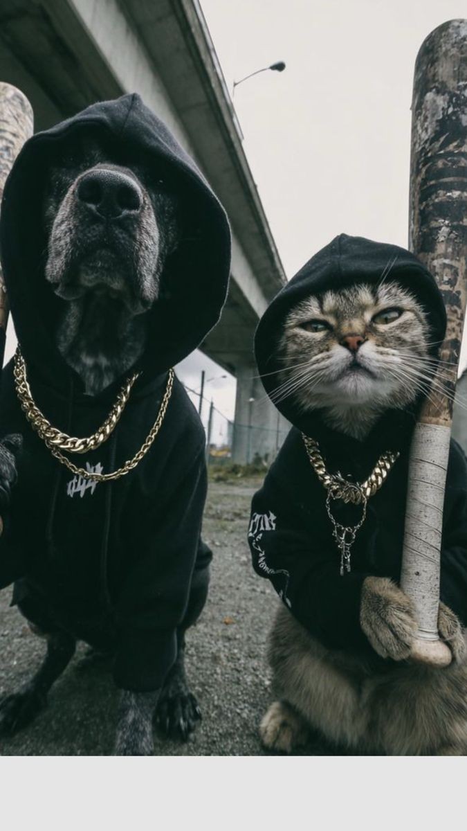 Sam Graphic tweet media