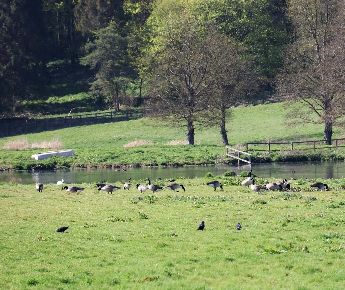 Helen Ibbott 💙📸📖 tweet media