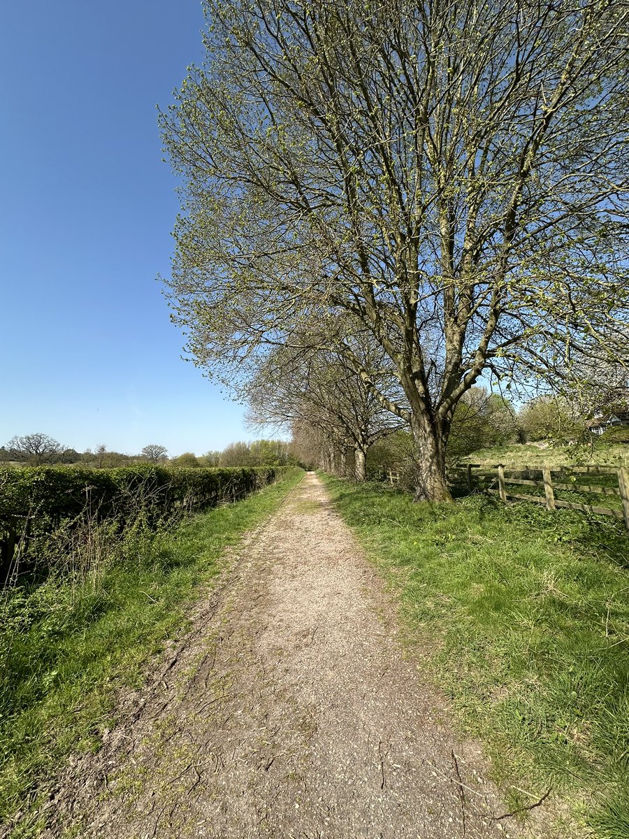 Helen Ibbott 💙📸📖 tweet media