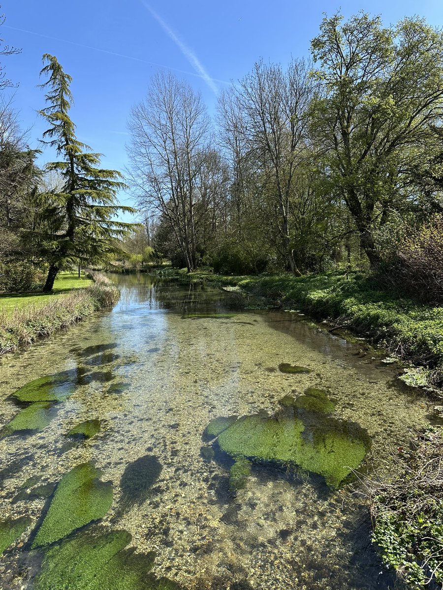 Helen Ibbott 💙📸📖 tweet media