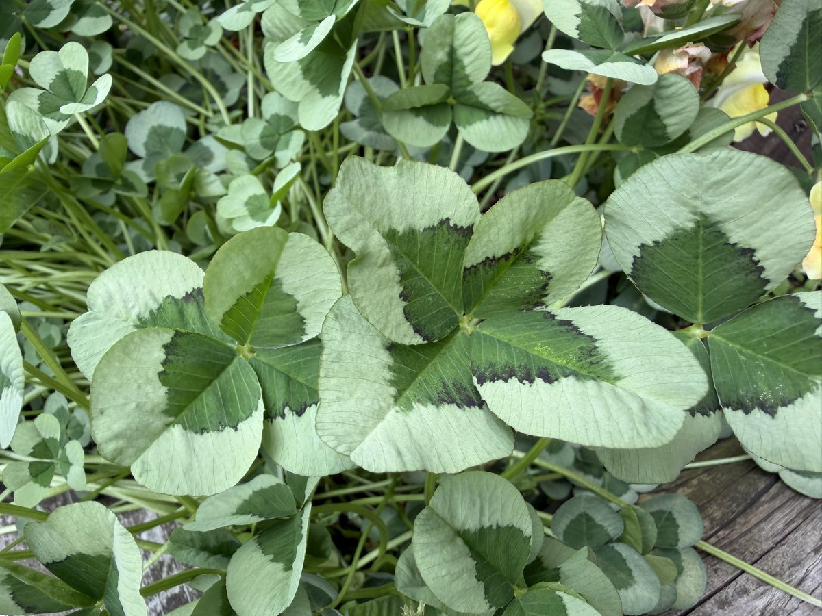 なか@だらだら tweet media