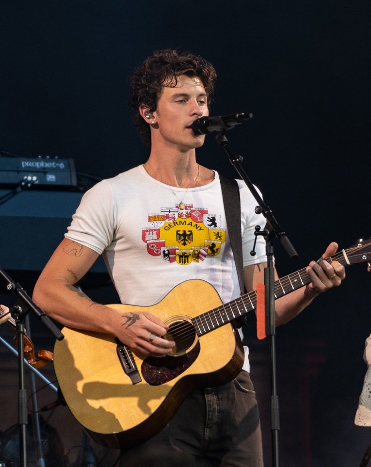 raya - shawn mendes tweet media