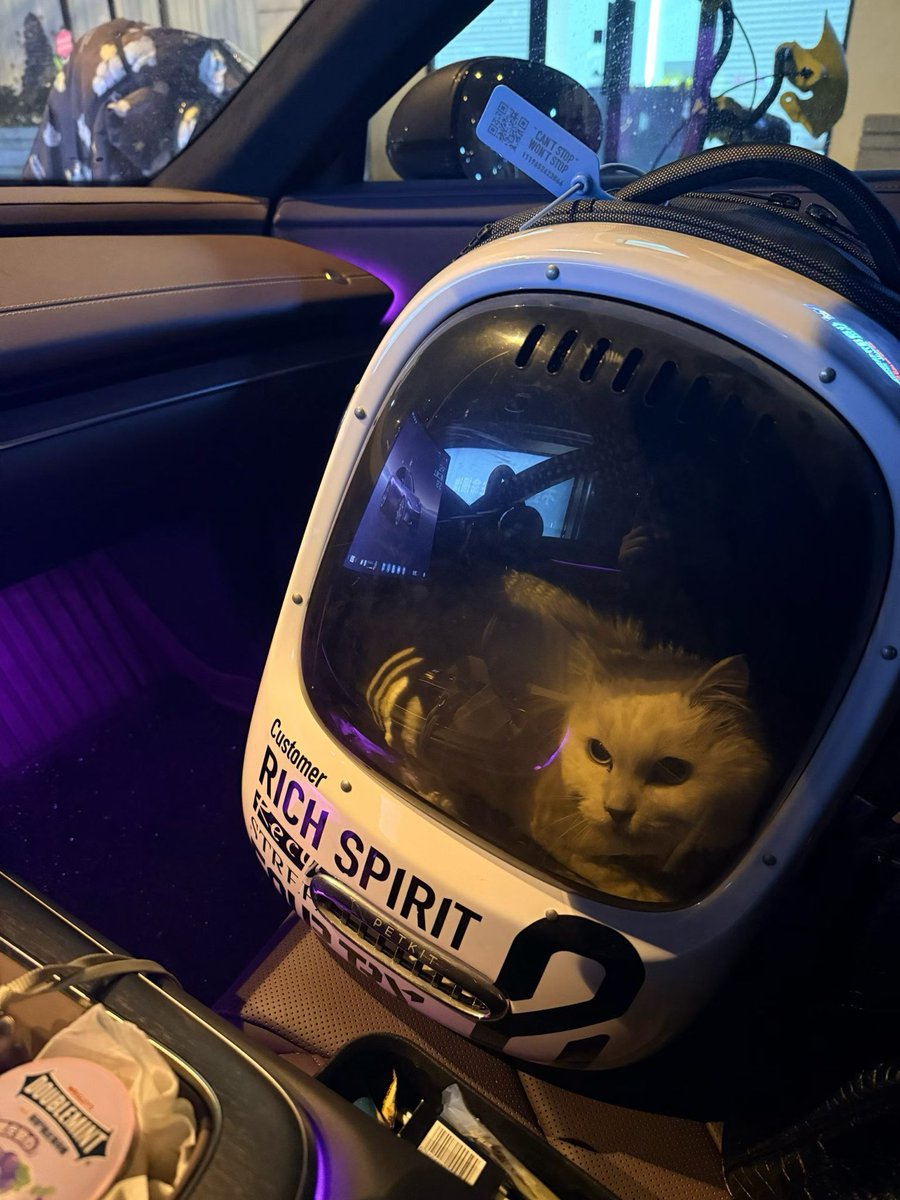 柒柒✈️🪂 tweet media