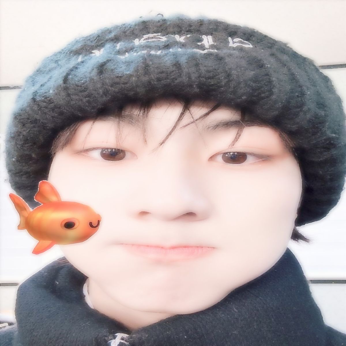 daisy 🍋 en 7 tweet media