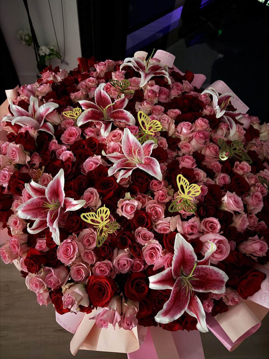 Soft Petals tweet media