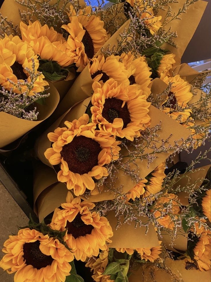 SUNFLOWER 🌻 tweet media