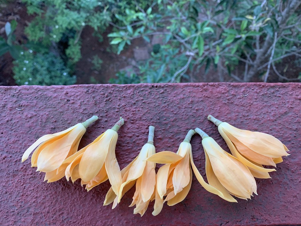 Anil Bhat tweet media