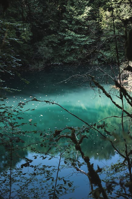 Jeremy Carlson tweet media