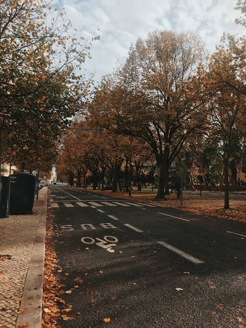 Matthew Cruz tweet media